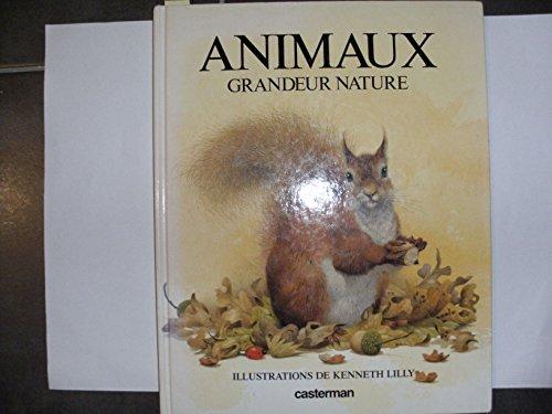 Animaux grandeur nature