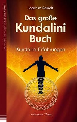 Das große Kundalini-Buch: Kundalini-Erfahrungen