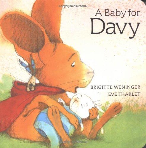 A Baby for Davy (Davy Board Books)