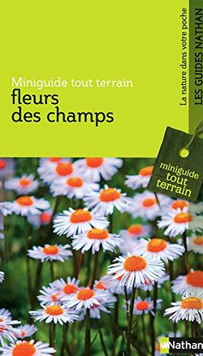 Fleurs des champs