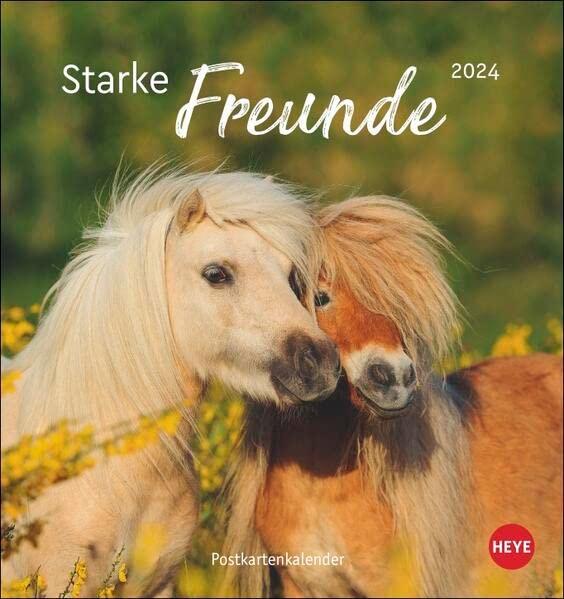 Pferde Postkartenkalender 2024: Starke Freunde