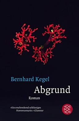 Abgrund: Roman