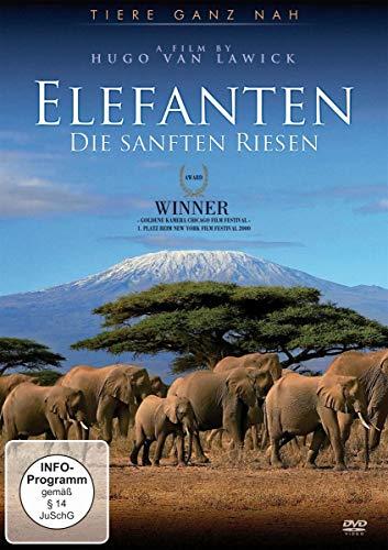 Elefanten - Die sanften Riesen