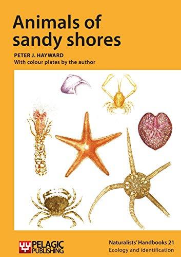 Animals of sandy shores (Naturalists' Handbooks, 21, Band 21)