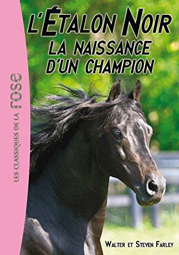 L'étalon noir. Vol. 19. La naissance d'un champion