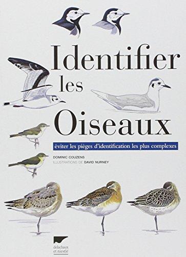 Identifier les oiseaux : éviter les pièges d'identification les plus complexes