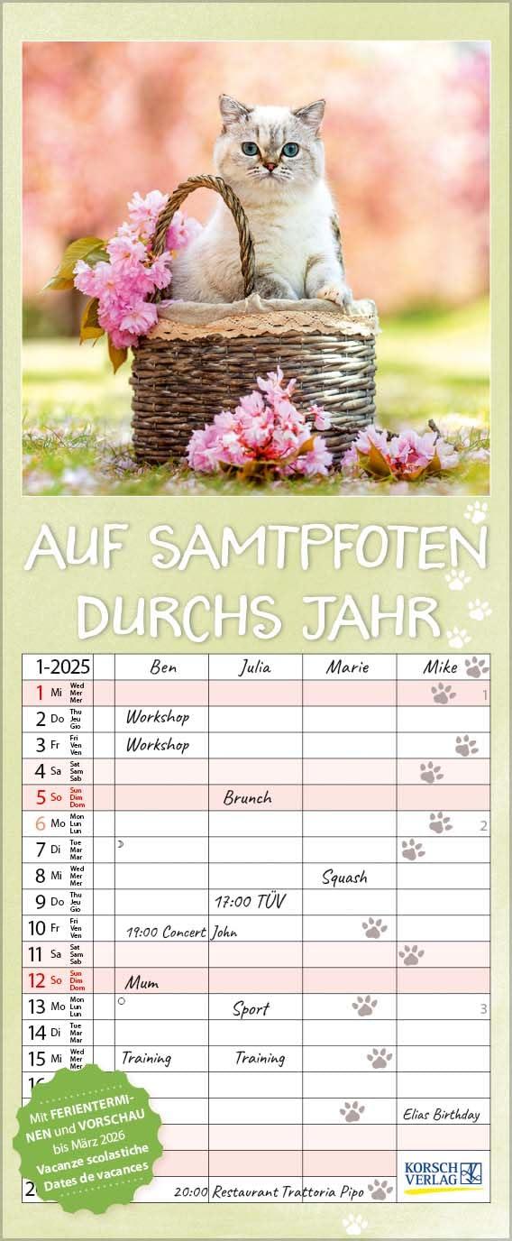 Auf Samtpfoten durch's Jahr 2025: Familienplaner mit 4 breiten Spalten. Hochwertiger Familienkalender mit Ferienterminen und Vorschau bis März 2026. 19 x 46 cm.