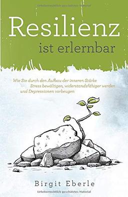 Resilienz ist erlernbar: Wie Sie durch den Aufbau der inneren Stärke Stress bewältigen, widerstandsfähiger werden und Depressionen vorbeugen