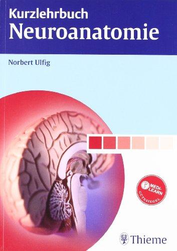 Kurzlehrbuch Neuroanatomie