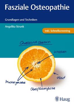 Fasziale Osteopathie: Grundlagen und Techniken