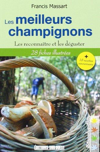 Les meilleurs champignons : les reconnaître et les déguster