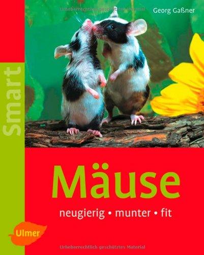 Mäuse: neugierig - munter - fit