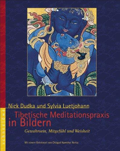 Tibetische Meditationspraxis in Bildern: Bewusstheit, Weisheit und Liebe. Zwölf Hauptmotive des tibetetischen Buddhismus