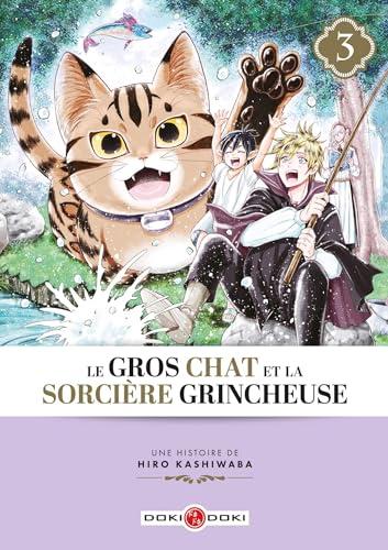 Le gros chat et la sorcière grincheuse. Vol. 3