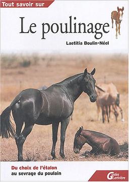 Le poulinage : du choix de l'étalon au sevrage du poulain