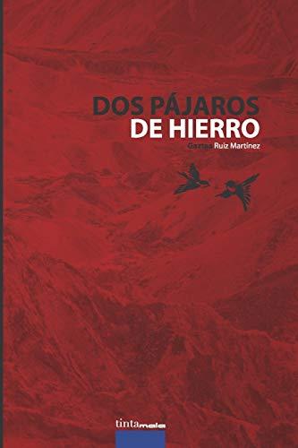 Dos pájaros de hierro