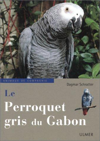 Le perroquet gris du Gabon