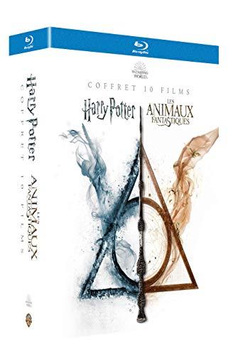 Coffret intégrale wizarding world 10 films ; harry potter 1 à 7 ; les animaux fantastiques 1 et 2 [Blu-ray] [FR Import]