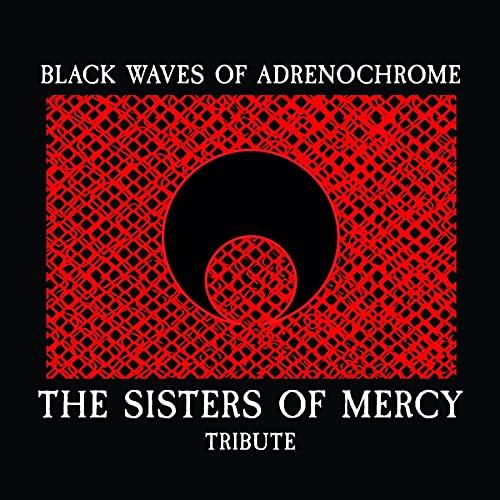 The Sisters of Mercy Tribute