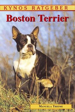 Boston Terrier