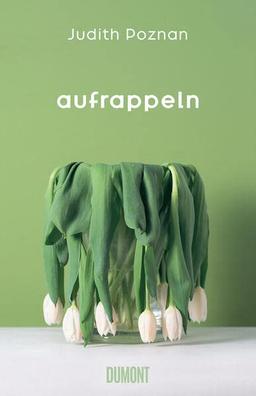 Aufrappeln: Roman