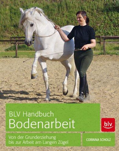 BLV Handbuch Bodenarbeit: Von der Grunderziehung bis zur Arbeit am Langen Zügel