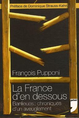 La France d'en dessous : banlieues, chroniques d'un aveuglement