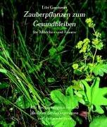 Zauberpflanzen zum Gesundbleiben für Mädchen und Frauen: Mit Bestimmungskarten und Rezepten für Anfängerinnen und Fortgeschrittene