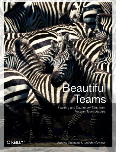 Beautiful Teams: Inspiring and Cautionary Tales from Veteran Team Leaders