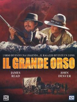 Il grande orso [IT Import]