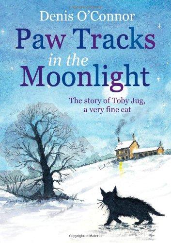 Paw Tracks in the Moonlight