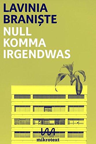 Null Komma Irgendwas: Roman