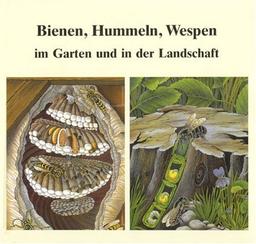 Bienen, Hummeln, Wespen im Garten und in der Landschaft. Honigbienen, Hummeln, Solitärbienen, Wespen und Hornissen