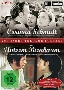 200 Jahre Theodor Fontane (Filmwerke): Corinna Schmidt / Unterm Birnbaum [3 DVDs]