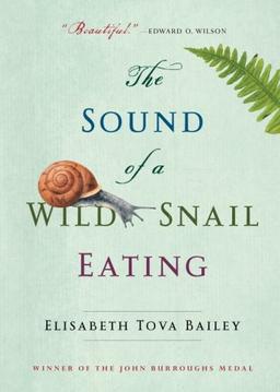 SOUND OF A WILD SNAIL EATING