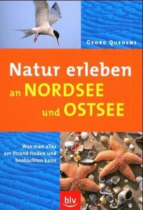 Natur erleben an Nordsee und Ostsee. Was man alles am Strand finden und beobachten kann