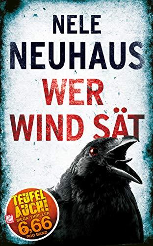 Wer Wind sät (BILD am Sonntag Thriller 2019)