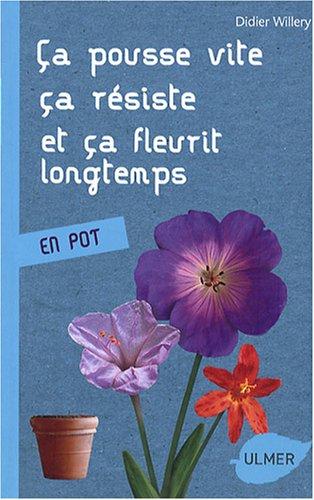 Ça pousse vite, ça résiste et ça fleurit longtemps en pot