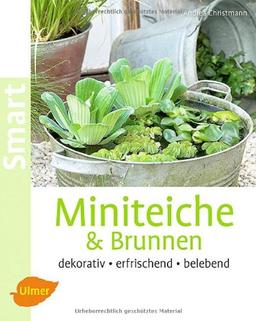 Miniteiche und Brunnen: Dekorativ, erfrischend, belebend