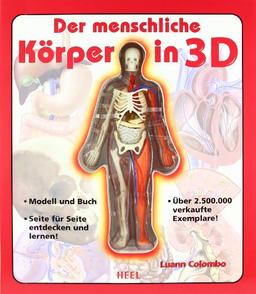 Der menschliche Körper in 3D