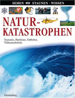 Naturkatastrophen: Tsunamis, Hurrikane, Erdbeben, Vulkanausbrüche