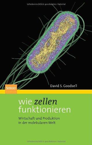 Wie Zellen funktionieren: Wirtschaft und Produktion in der molekularen Welt