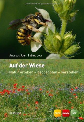 Auf der Wiese: Natur erleben - beobachten - verstehen