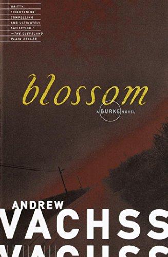 Blossom (Burke Series)