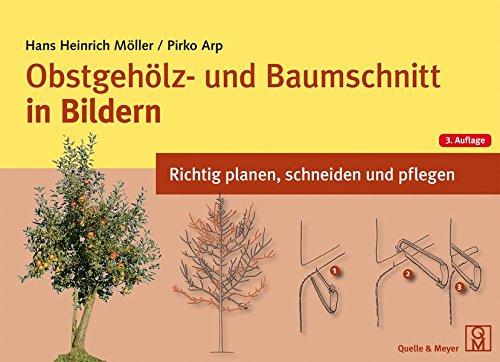 Obstgehölz- und Baumschnitt in Bildern: Richtig planen, schneiden und pflegen