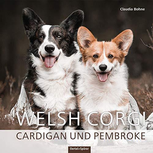 Welsh Corgi. Cardigan und Pembroke