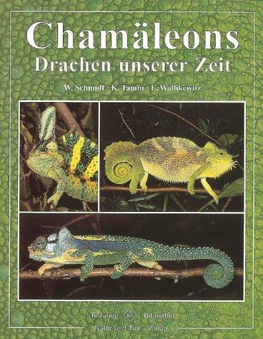 Chamäleons: Drachen unserer Zeit