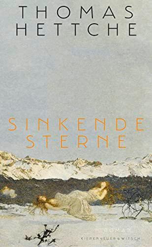 Sinkende Sterne: Roman