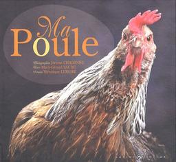 Ma poule