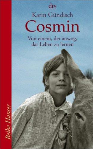 Cosmin. Von einem, der auszog, das Leben zu lernen